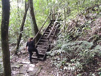 Santuário da vida silvestre Vagafogo Santuário da vida silvestre Vagafogo